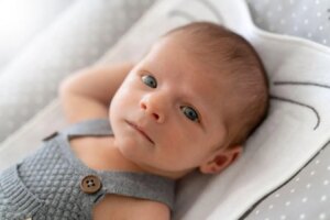 How Babies Are Innately Equipped with the Neural Foundations for