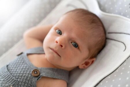 How Babies Are Innately Equipped with the Neural Foundations for