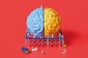 How Certain Brains Achieve Remarkable Stroke Recovery Insights and Innovations