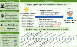 How Daily Exposure to Bright Light Can Help Prevent Dementia