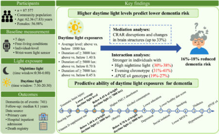 How Daily Exposure to Bright Light Can Help Prevent Dementia