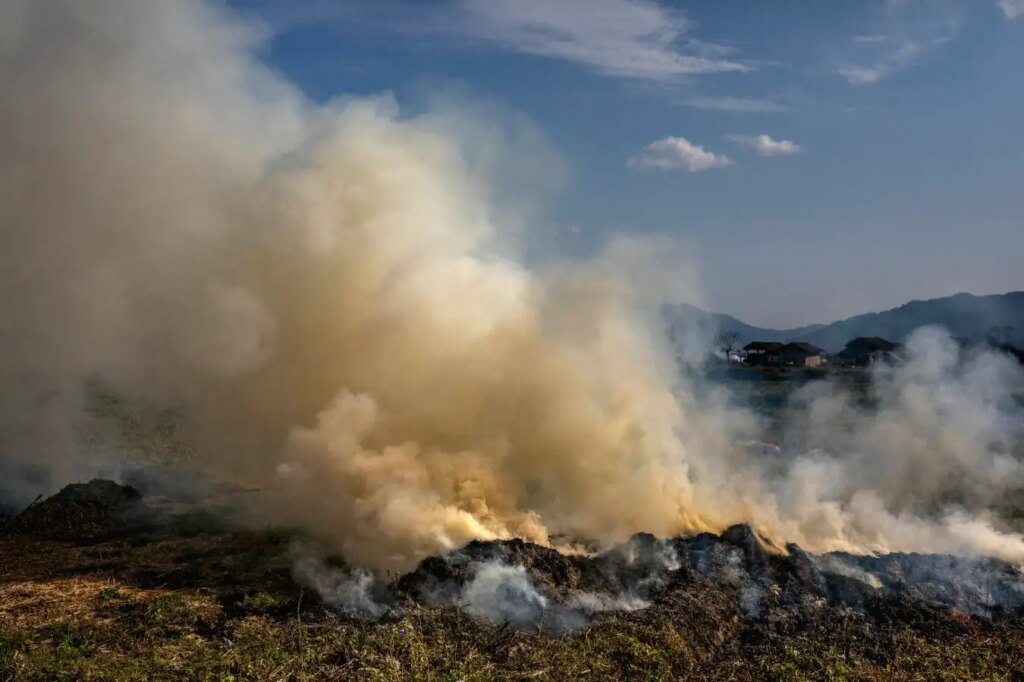 Neglected Pollutants Contributing 15 to Global Warming
