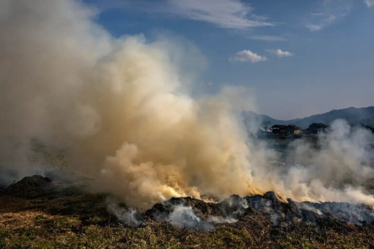 Neglected Pollutants Contributing 15 to Global Warming