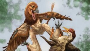New Microraptorine Dinosaur Species Discovered in China: A Breakthrough in Paleontology New Microraptorine Dinosaur Species Discovered in China A Breakthrough in