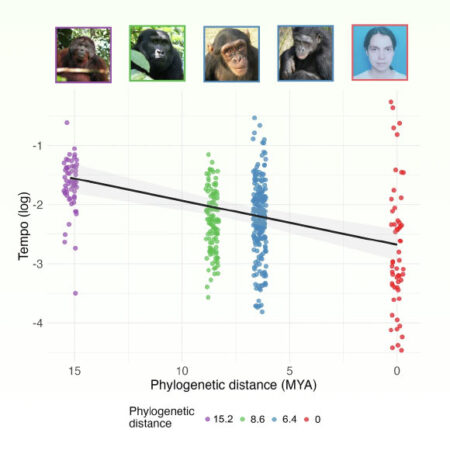 New Research Reveals Origins of Human Laughter Insights into Its