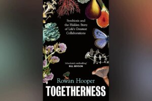 New Scientist Highlights Rowan Hoopers Oneness A Groundbreaking Perspective on