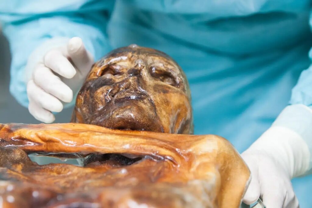 Otzis Frozen Remains Discovering Metabolically Active Microorganisms in Ancient Ice