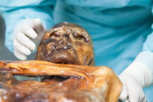 Otzis Frozen Remains Discovering Metabolically Active Microorganisms in Ancient Ice