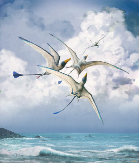 Pterosaur Wing Diversity Uncovering the Surprising Variety Beyond Paleontologists Expectations