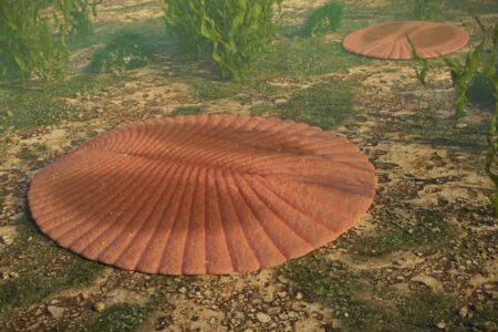 Scientists Reveal Earth’s Early Sexual Practices Were Detrimental Scientists Reveal Earths Early Sexual Practices Were Detrimental