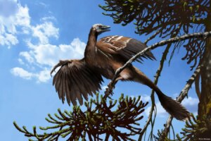 Steve Brusattes Insights on Bird Evolution New Scientists Top Recommendation