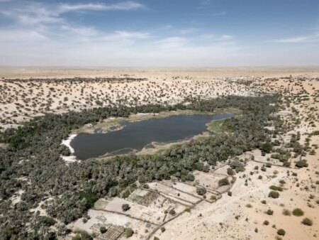 Stunning Photos Reveal Sand Encroaching on Sahara Desert Oases Stunning Photos Reveal Sand Encroaching on Sahara Desert Oases