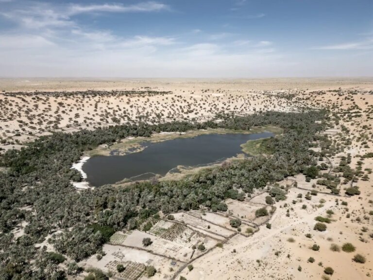 Stunning Photos Reveal Sand Encroaching on Sahara Desert Oases Stunning Photos Reveal Sand Encroaching on Sahara Desert Oases