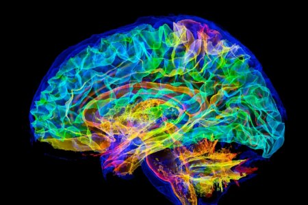 Understanding Neuroscience Why It Cant Teach Us to Control Peoples
