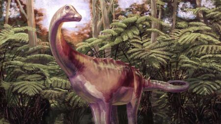 83-Million-Year-Old Fossil Sheds New Light on Antarctica’s First Dinosaur Discovery Timeline 83 Million Year Old Fossil Sheds New Light on Antarcticas First Dinosaur Discovery