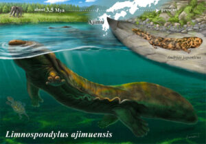 Ancient 35 Million Year Old Fossil Unveils Lost Lineage of Giant Salamanders in