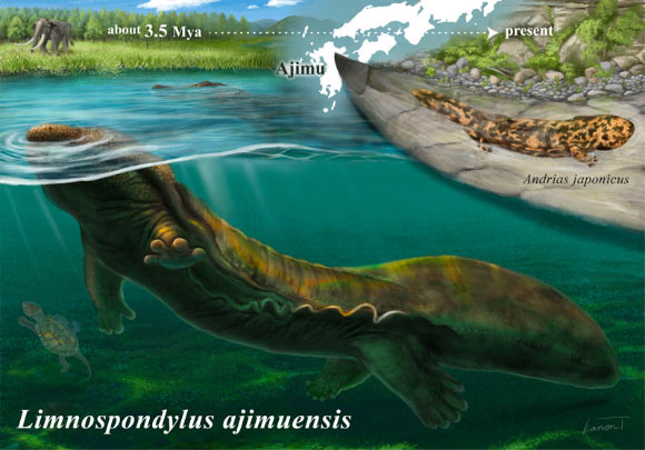 Ancient 3.5-Million-Year-Old Fossil Unveils Lost Lineage of Giant Salamanders in Japan Ancient 35 Million Year Old Fossil Unveils Lost Lineage of Giant Salamanders in