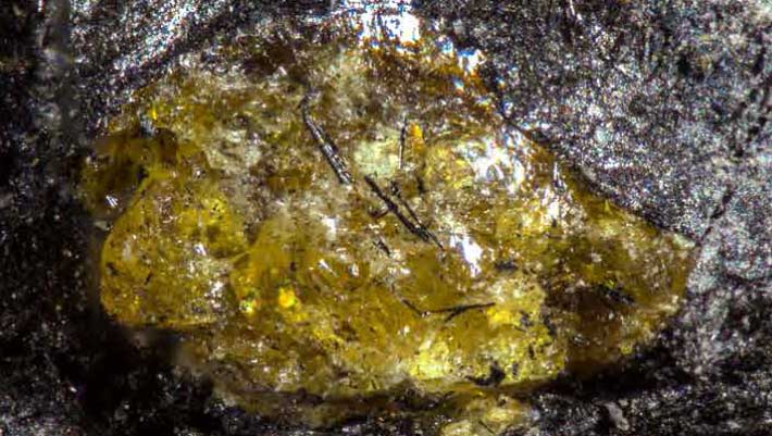Ancient 385 Million-Year-Old Amber Discovered in China: A Significant Paleontological Find Ancient 385 Million Year Old Amber Discovered in China A Significant Paleontological