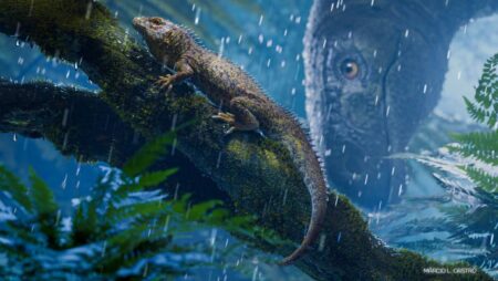 Early Lizard Evolution Uncovered Insights from Tiny Triassic Reptiles