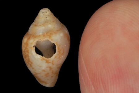 Exploring Artifacts of Cultural Exchange Between Neanderthals and Early Humans
