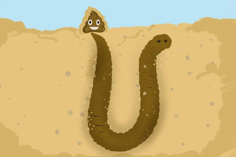 Exploring the Surprising Physics Behind Lugworm Waste Fascinating Insights