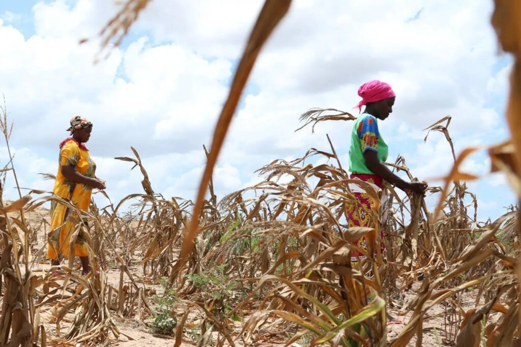 Global Warming Over 20 Billion in Annual Crop Losses and