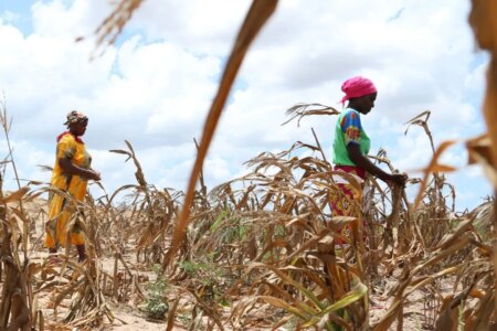 Global Warming Over 20 Billion in Annual Crop Losses and