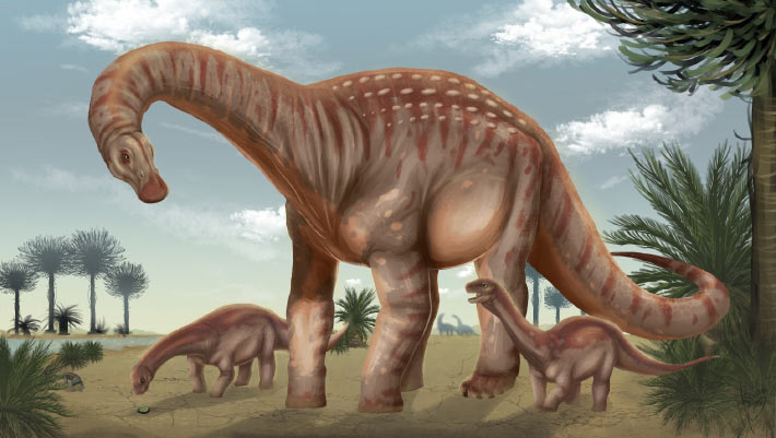 New Titanosaurus Species Discovered in Uruguay: A Breakthrough in Paleontology New Titanosaurus Species Discovered in Uruguay A Breakthrough in Paleontology