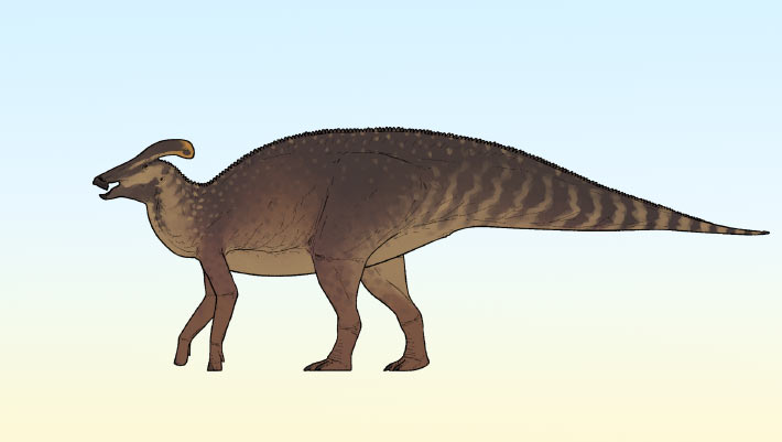 Newly Discovered Crested Dinosaur Species Uncovered in Canada Newly Discovered Crested Dinosaur Species Uncovered in Canada