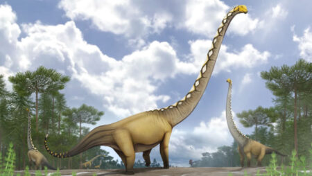 Newly Discovered Long Necked Dinosaur Species Identified in Thailand