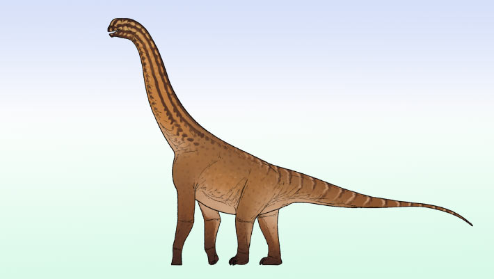 Newly Discovered Small Jurassic Sauropod Dinosaur Unearthed in India Newly Discovered Small Jurassic Sauropod Dinosaur Unearthed in India