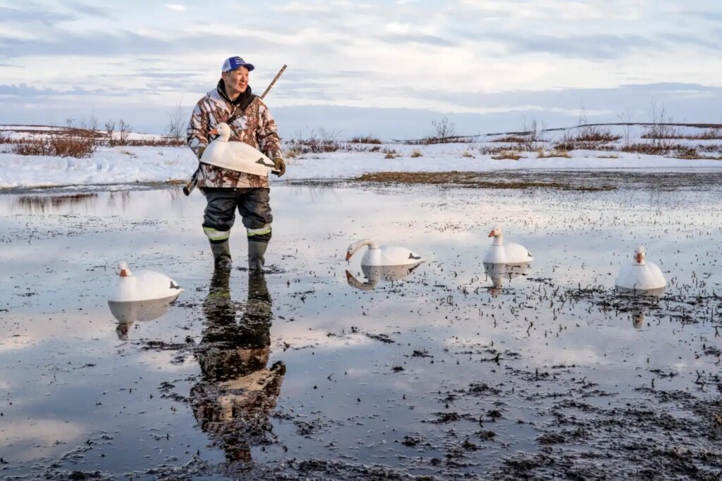 Stunning Arctic Photography Earns New Science Editor Award for Canadian