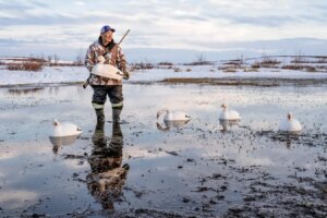 Stunning Arctic Photography Earns New Science Editor Award for Canadian Landscapes Stunning Arctic Photography Earns New Science Editor Award for Canadian