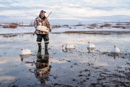 Stunning Arctic Photography Earns New Science Editor Award for Canadian