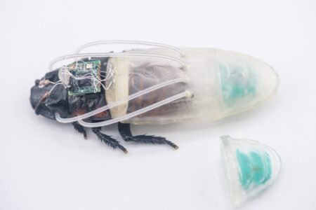 Stunning Video Cyborg Cockroach Swims in Miniature Diving Suit