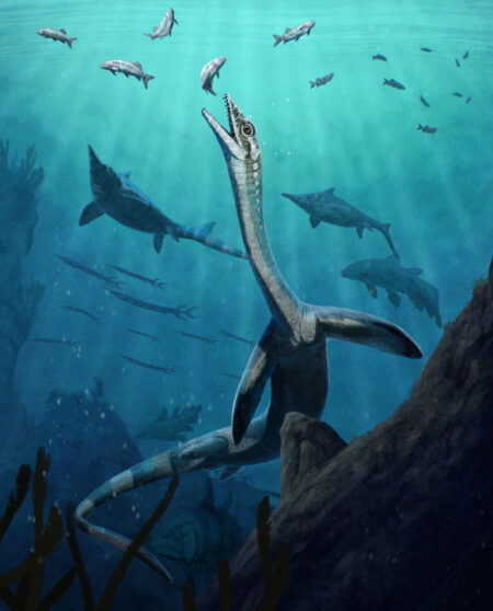 Ancient 244-Million-Year-Old Fossil Reveals Earliest Reptilian Digestive System Ancient 244 Million Year Old Fossil Reveals Earliest Reptilian Digestive System