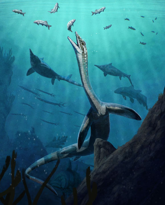 Ancient 244-Million-Year-Old Fossil Reveals Earliest Reptilian Digestive System Ancient 244 Million Year Old Fossil Reveals Earliest Reptilian Digestive System