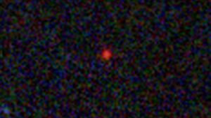 Discovering a Black Hole Star from the Early Universe Astronomers