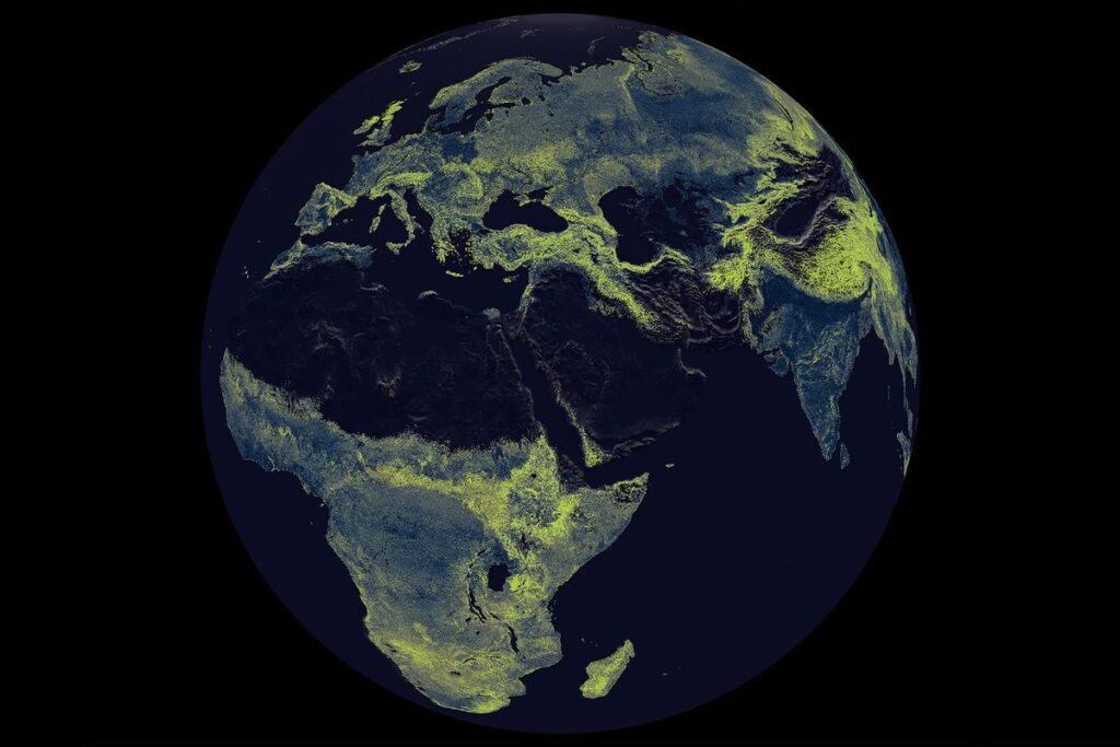 Exploring the Rapid Decline of Earth’s Fungal Networks: Why Scientists Are Racing to Understand the Causes Exploring the Rapid Decline of Earths Fungal Networks Why Scientists