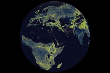 Exploring the Rapid Decline of Earth’s Fungal Networks: Why Scientists Are Racing to Understand the Causes Exploring the Rapid Decline of Earths Fungal Networks Why Scientists