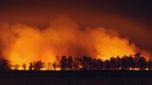 How Wildfires and Deforestation Worsen Severe Weather Impacts