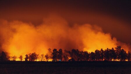 How Wildfires and Deforestation Worsen Severe Weather Impacts