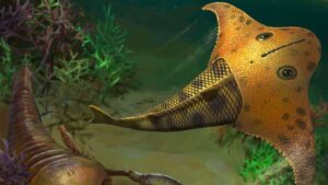 Meet Bataspis crax A Jawless Fish with a Batwing Head