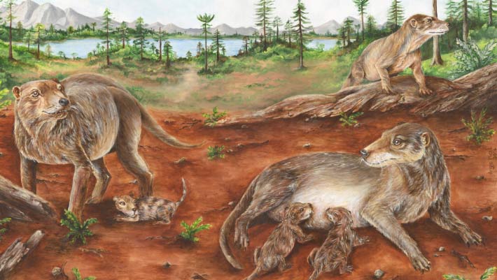 Origin of life traces back 90 million years through fossil evidence Origin of life traces back 90 million years through fossil