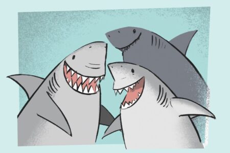 Research shows that Sharks are forming adorable and meaningful friendships