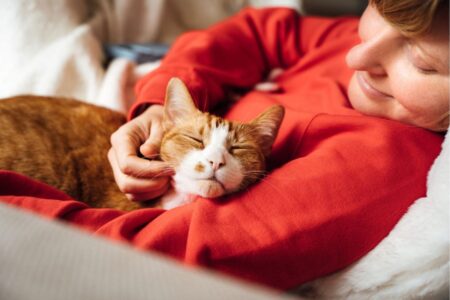 Science backed tips to make any cat instantly fall in love