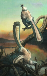 Study finds Archeopteryx did not make significant leaps despite being