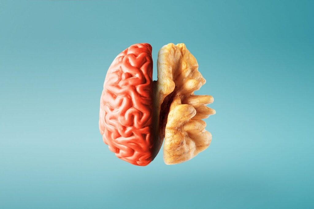 The Most Effective Diet to Prevent Dementia, According to a Harvard University Professor The Most Effective Diet to Prevent Dementia According to a