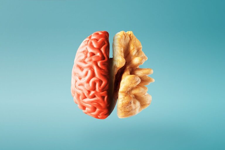 The Most Effective Diet to Prevent Dementia, According to a Harvard University Professor The Most Effective Diet to Prevent Dementia According to a