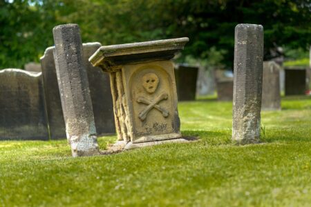 The Positive Impact of the Black Death on Nature New